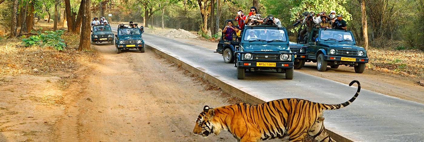 RANTHAMBORE